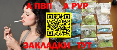 шишки Кингисепп