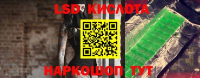 шишки Кингисепп