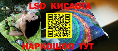 шишки Кингисепп