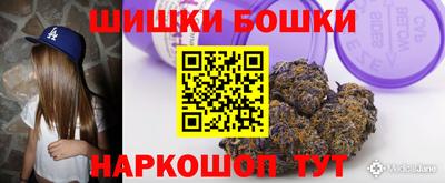 шишки Кингисепп