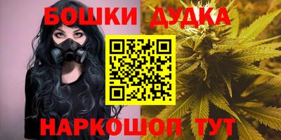 шишки Кингисепп