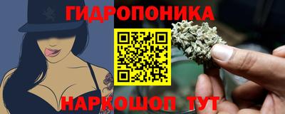 шишки Кинель