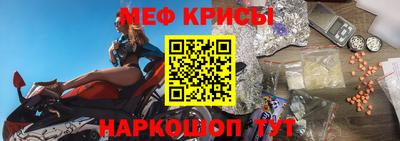 шишки Кингисепп