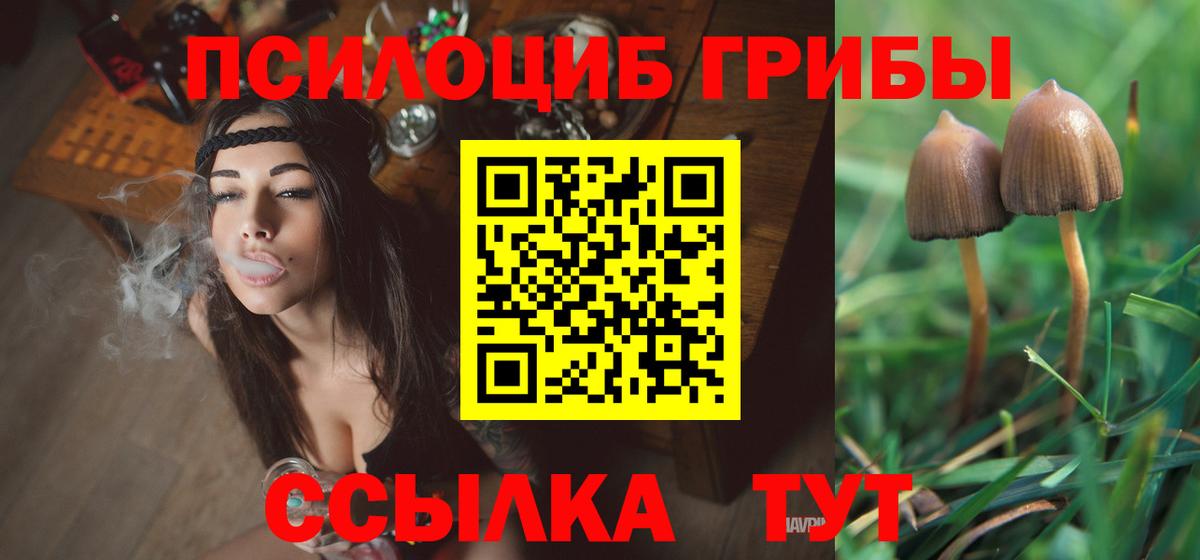 Галлюциногенные грибы мицелий Карпинск