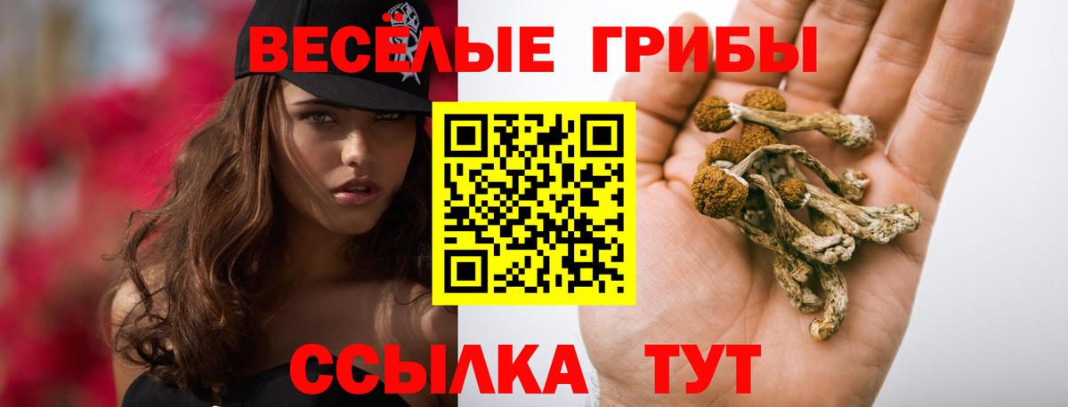 Карпинск  Галлюциногенные грибы ЛСД  Вход с VPN 